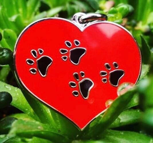 Custom enamel charm